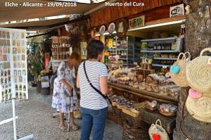 19 ELCHE HUERTO DEL CURA (18)